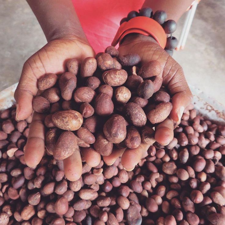 SHEA BUTTER